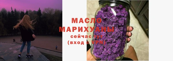 гидра Елабуга