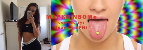 МДПВ Ельня