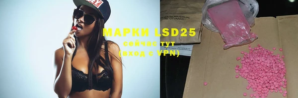 МДПВ Ельня