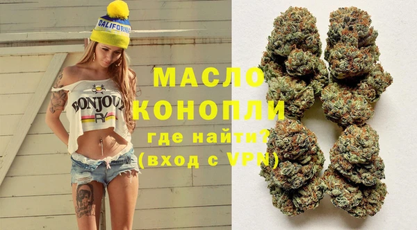 гидра Елабуга