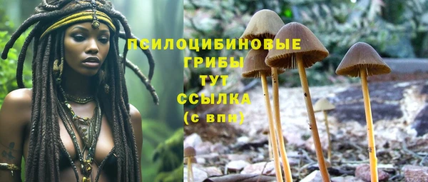 гидра Елабуга