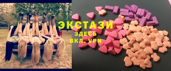 гидра Елабуга