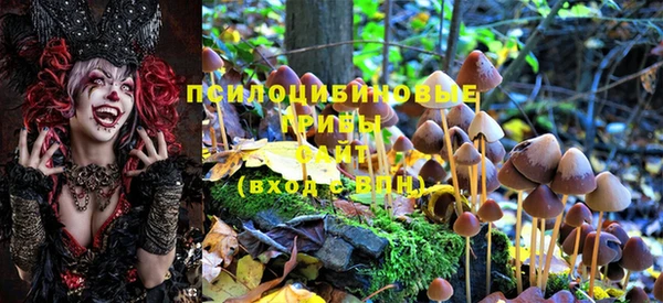 мдма Заводоуковск