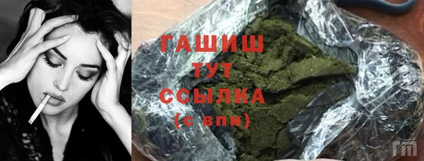 гидра Елабуга